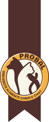 logoHeader